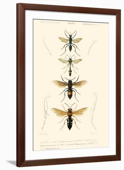 Antique Bees II-Blanchard-Framed Art Print