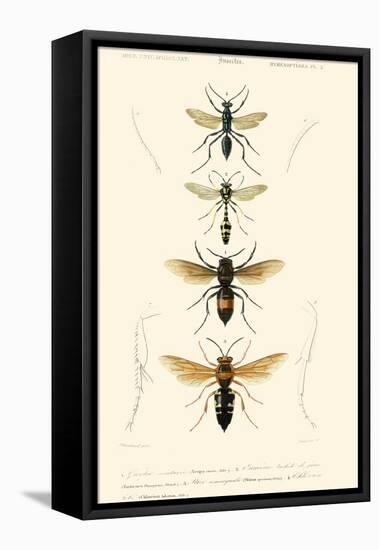 Antique Bees II-Blanchard-Framed Stretched Canvas