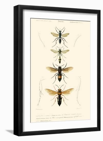 Antique Bees II-Blanchard-Framed Art Print