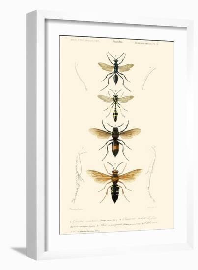 Antique Bees II-Blanchard-Framed Art Print