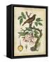 Antique Bird in Nature I-null-Framed Stretched Canvas