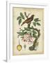 Antique Bird in Nature I-null-Framed Art Print