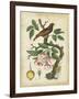 Antique Bird in Nature I-null-Framed Art Print