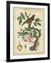 Antique Bird in Nature I-null-Framed Art Print