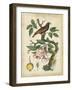 Antique Bird in Nature I-null-Framed Art Print