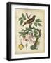 Antique Bird in Nature I-null-Framed Art Print