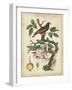 Antique Bird in Nature I-null-Framed Art Print