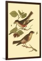 Antique Bird Pair I-James Bolton-Framed Art Print