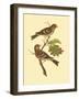 Antique Bird Pair II-James Bolton-Framed Art Print
