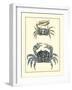 Antique Blue Crabs II-Vision Studio-Framed Art Print