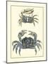 Antique Blue Crabs II-Vision Studio-Mounted Art Print