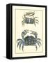 Antique Blue Crabs II-Vision Studio-Framed Stretched Canvas