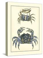 Antique Blue Crabs II-Vision Studio-Stretched Canvas
