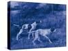 Antique Blue Dogs III-Vision Studio-Stretched Canvas