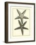 Antique Blue Starfish I-Vision Studio-Framed Art Print