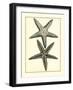 Antique Blue Starfish I-Vision Studio-Framed Art Print