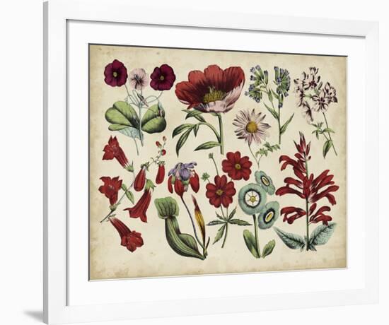 Antique Botanical Chart I-null-Framed Giclee Print