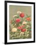 Antique Botanical Collection 1-Stellar Design Studio-Framed Art Print