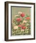 Antique Botanical Collection 1-Stellar Design Studio-Framed Art Print