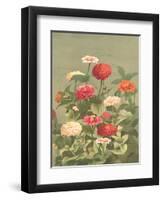Antique Botanical Collection 1-Stellar Design Studio-Framed Art Print