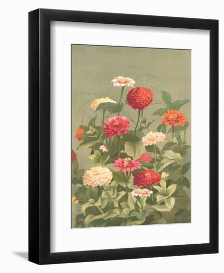 Antique Botanical Collection 1-Stellar Design Studio-Framed Art Print