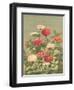 Antique Botanical Collection 1-Stellar Design Studio-Framed Art Print