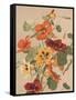 Antique Botanical Collection 2-Stellar Design Studio-Framed Stretched Canvas