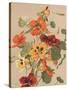 Antique Botanical Collection 2-Stellar Design Studio-Stretched Canvas
