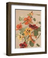 Antique Botanical Collection 2-Stellar Design Studio-Framed Art Print