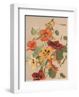 Antique Botanical Collection 2-Stellar Design Studio-Framed Art Print