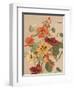 Antique Botanical Collection 2-Stellar Design Studio-Framed Art Print