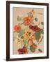 Antique Botanical Collection 2-Stellar Design Studio-Framed Art Print