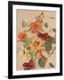 Antique Botanical Collection 2-Stellar Design Studio-Framed Art Print