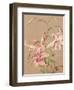 Antique Botanical Collection 3-Stellar Design Studio-Framed Art Print