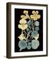 Antique Botanical XVII Cool on Black-Wild Apple Portfolio-Framed Art Print