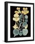 Antique Botanical XVII Cool on Black-Wild Apple Portfolio-Framed Art Print