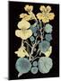 Antique Botanical XVII Cool on Black-Wild Apple Portfolio-Mounted Art Print