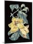 Antique Botanical XVIII Cool on Black-Wild Apple Portfolio-Mounted Art Print