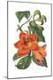 Antique Botanical XVIII-Wild Apple Portfolio-Mounted Art Print