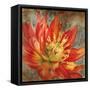 Antique Botanicals I-Liz Jardine-Framed Stretched Canvas