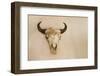 Antique Buffalo Skull-Marilyn Angel Wynn-Framed Photographic Print