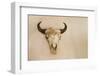 Antique Buffalo Skull-Marilyn Angel Wynn-Framed Photographic Print