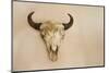 Antique Buffalo Skull-Marilyn Angel Wynn-Mounted Photographic Print