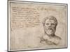 Antique Bust of Sophocles, Annotated, after Fulvio Orsini-Maerten van Heemskerck-Mounted Giclee Print