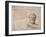 Antique Bust of Sophocles, Annotated, after Fulvio Orsini-Maerten van Heemskerck-Framed Giclee Print