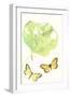 Antique Butterflies and Leaves II-Vision Studio-Framed Art Print