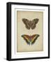 Antique Butterfly Pair IV-Vision Studio-Framed Art Print