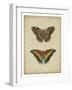 Antique Butterfly Pair IV-Vision Studio-Framed Art Print