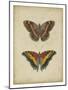 Antique Butterfly Pair IV-Vision Studio-Mounted Art Print