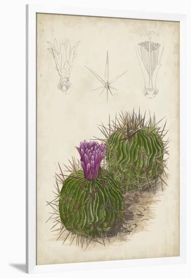 Antique Cactus II-Curtis-Framed Art Print